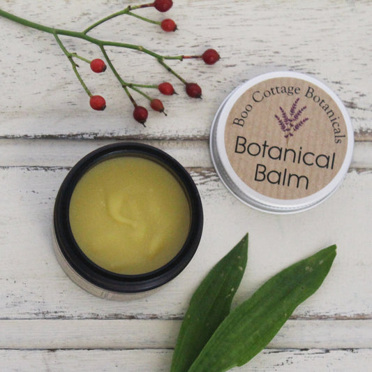 Cream coloured Soothing Botanical Balm in amber jar with plantain leaves and rosehips on whitewashed wooden background