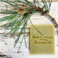 Pale green soap bar with sprig of pine on white wood background