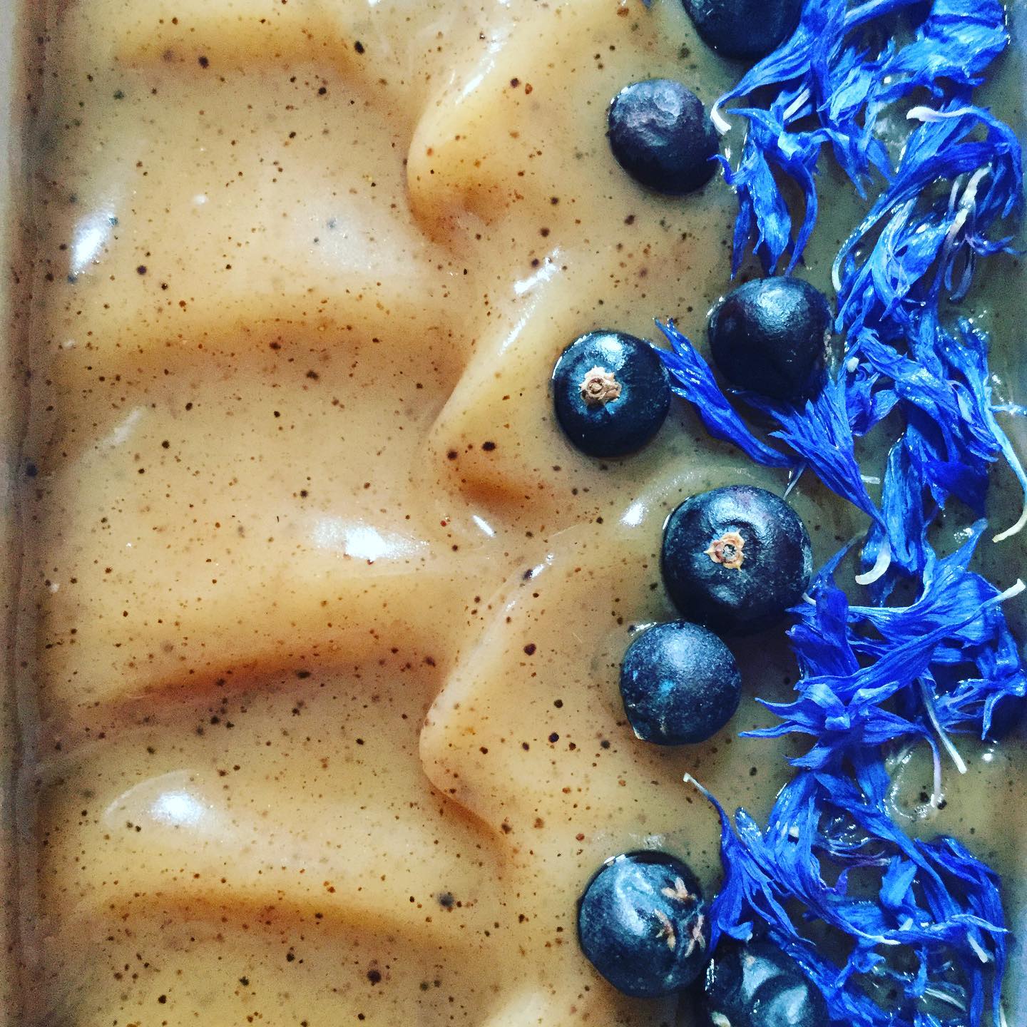 Glossy freshly poured sand coloured soap with speckles showing soft texture with bright blue cornflowers and black juniper berries 