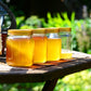 Jars of golden honey on outdoor table with plants in background