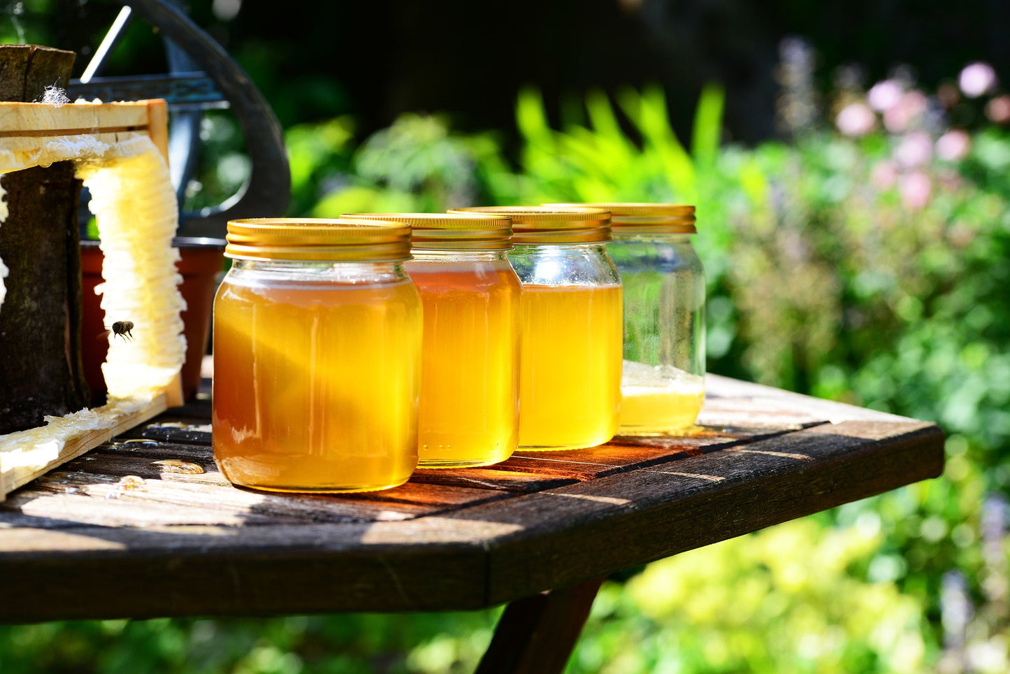 Jars of golden honey on outdoor table with plants in background